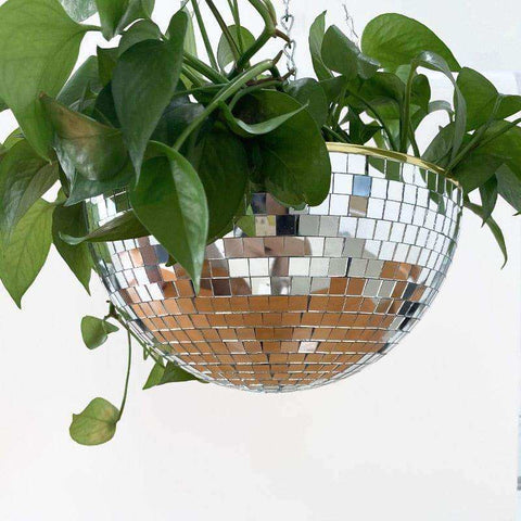 A shiny spherical disco ball planter made of mirrored mosaic tiles with a gold rim hanging as a ball planter