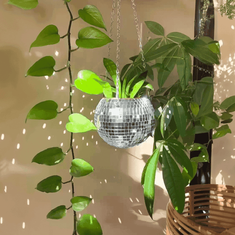 Silver disco ball planter with mirrored facets holding a lush green plant in the disco planter ball planter style