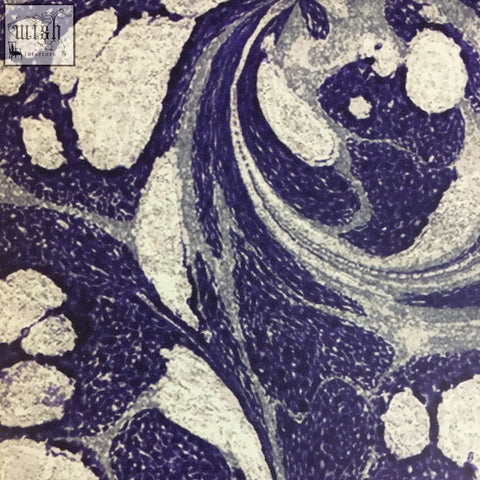 Tourmaline wallpaper showing a deep navy blue and creamy white textured fabric with an intricate marbled pattern check shipping times