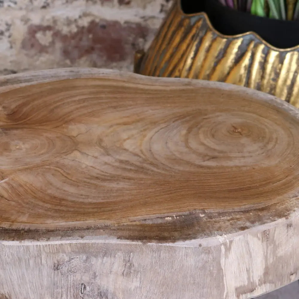 Natural wood slab tree root side table with solid tree root base and rustic unfinished edges for plant stand use