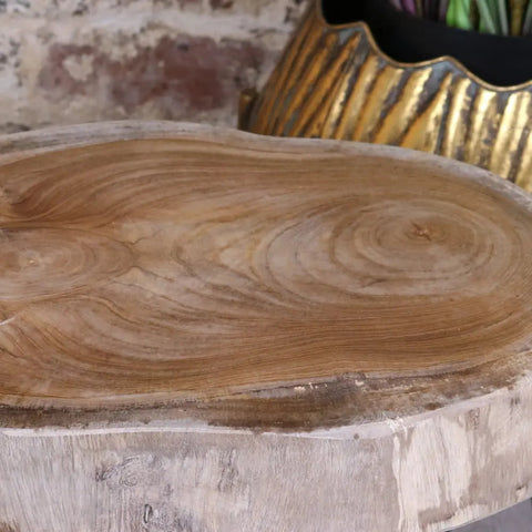 Natural wood slab tree root side table with solid tree root base and rustic unfinished edges for plant stand use