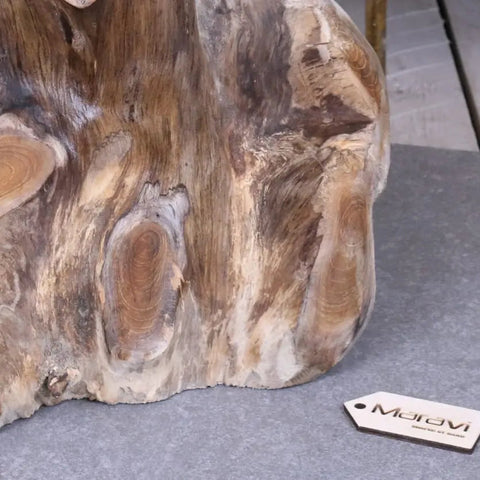 Rustic tree root side table plant stand with natural artistry and textured swirling brown and beige tones solid tree root