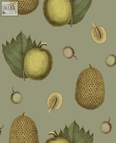 Botanical illustration of durian fruits and leaves in sepia tones on muted olive background tropical fruit wallpaper