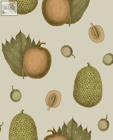 Botanical illustration of jackfruit in green and brown tones on a neutral background perfect for tropical fruit wallpaper