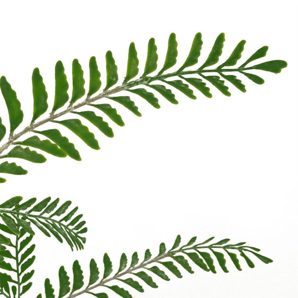 55cm Himalayan Maidenhair Fern Bush - Dark Green Artificial Plant