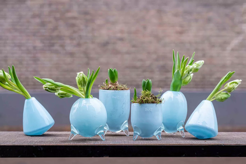 EVITA Mouthblown Glass Vases with Feet - Set of 4pcs - in Multiple Colours