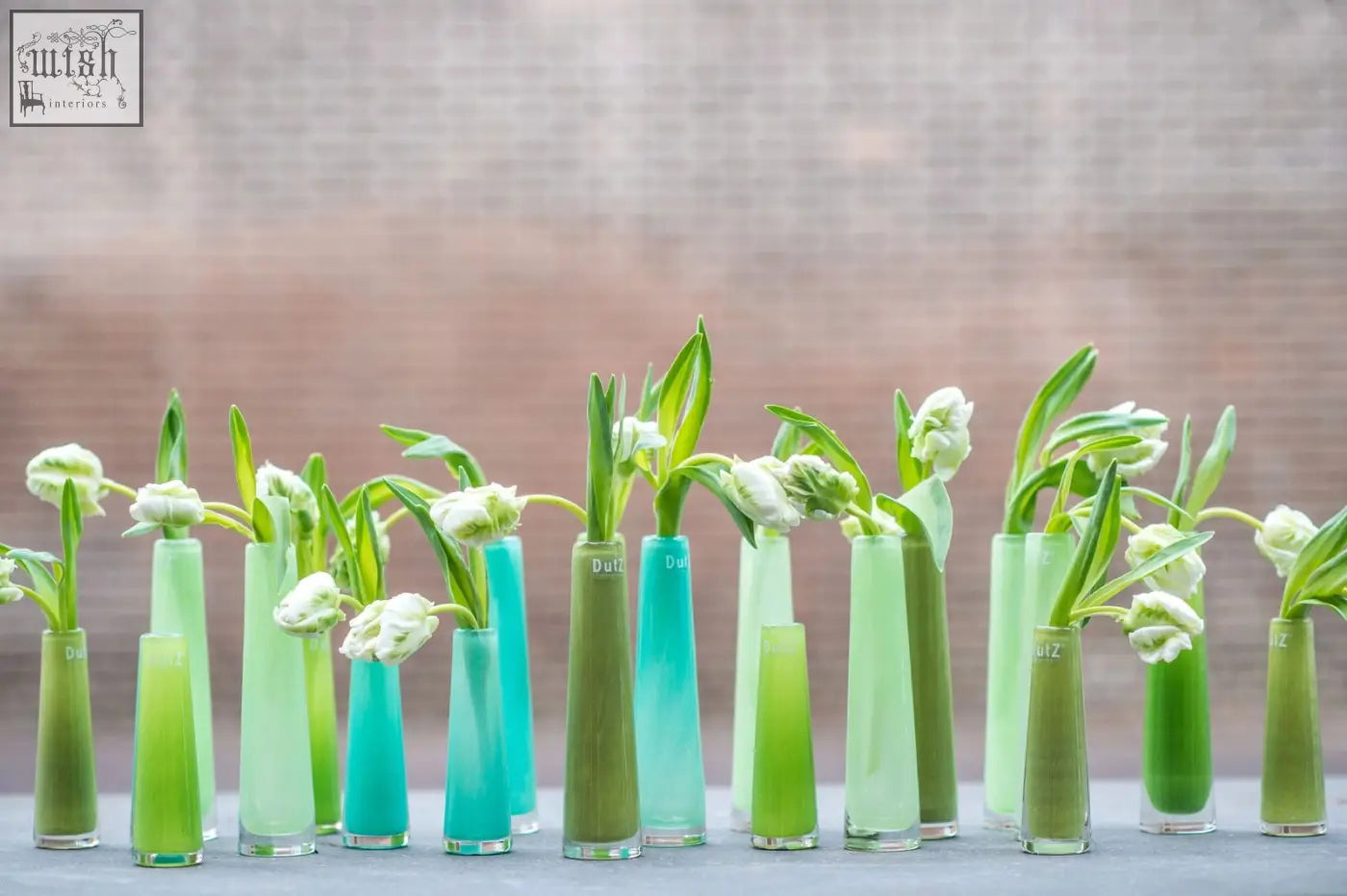 A row of slender gradient green and teal mouth blown glass vases from dutz collection holding white tulips