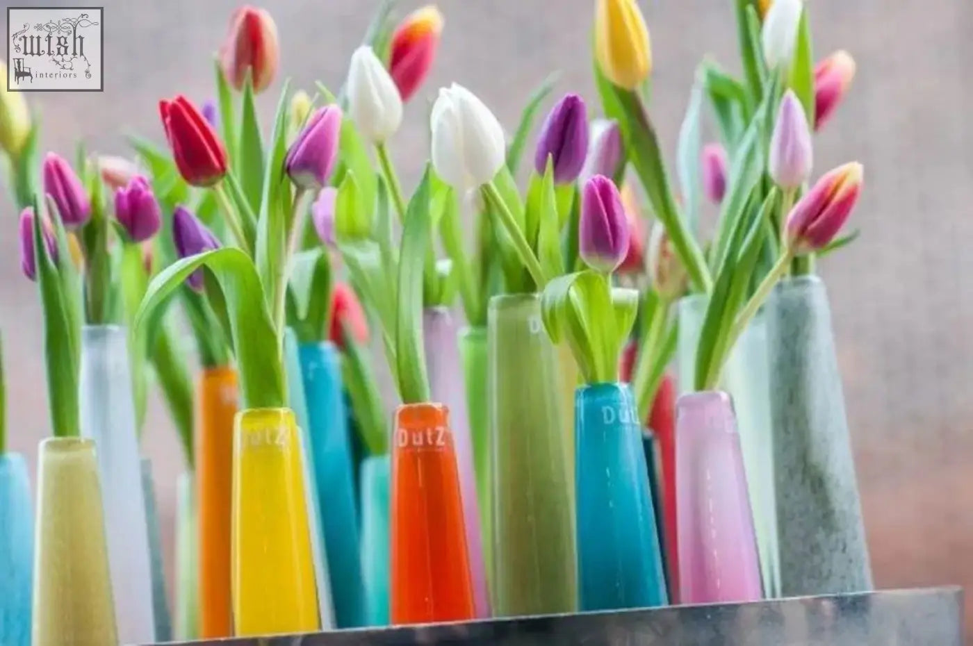 A vibrant array of tulips bloom in navy VASE SOLIFLEUR Budvase made of mouth blown glass from dutz collection