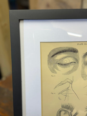 A framed victorian anatomy engraving featuring detailed black ink eye and facial drawings on aged pale yellow paper