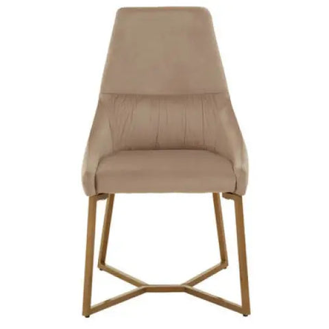 Vieste Mink Velvet Dining Chair - Dining Chair