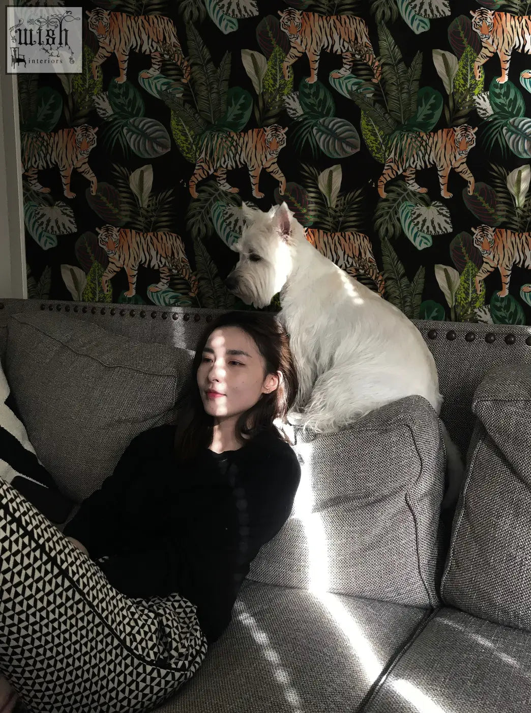 A white west highland terrier resting on a gray sofa in a room with vintage botanical wallpaper peel and stick design