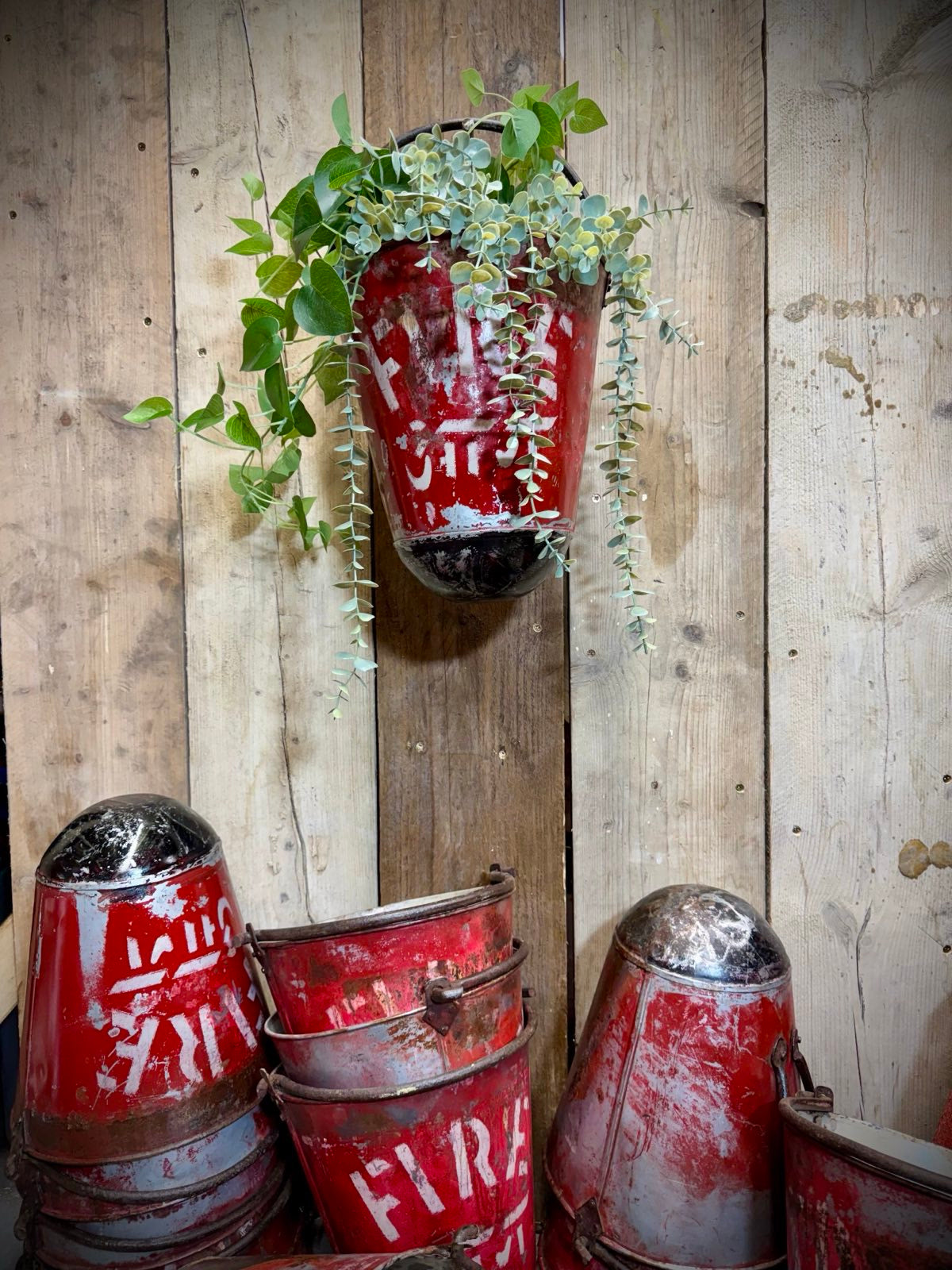 Vintage galvanised hanging fire bucket planter in weathered red with white lettering holding trailing greenery on wood wall