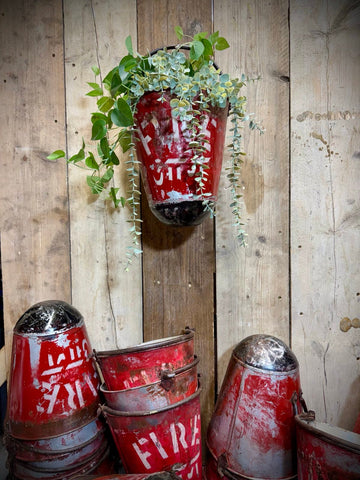 Vintage galvanised hanging fire bucket planter in weathered red with white lettering holding trailing greenery on wood wall