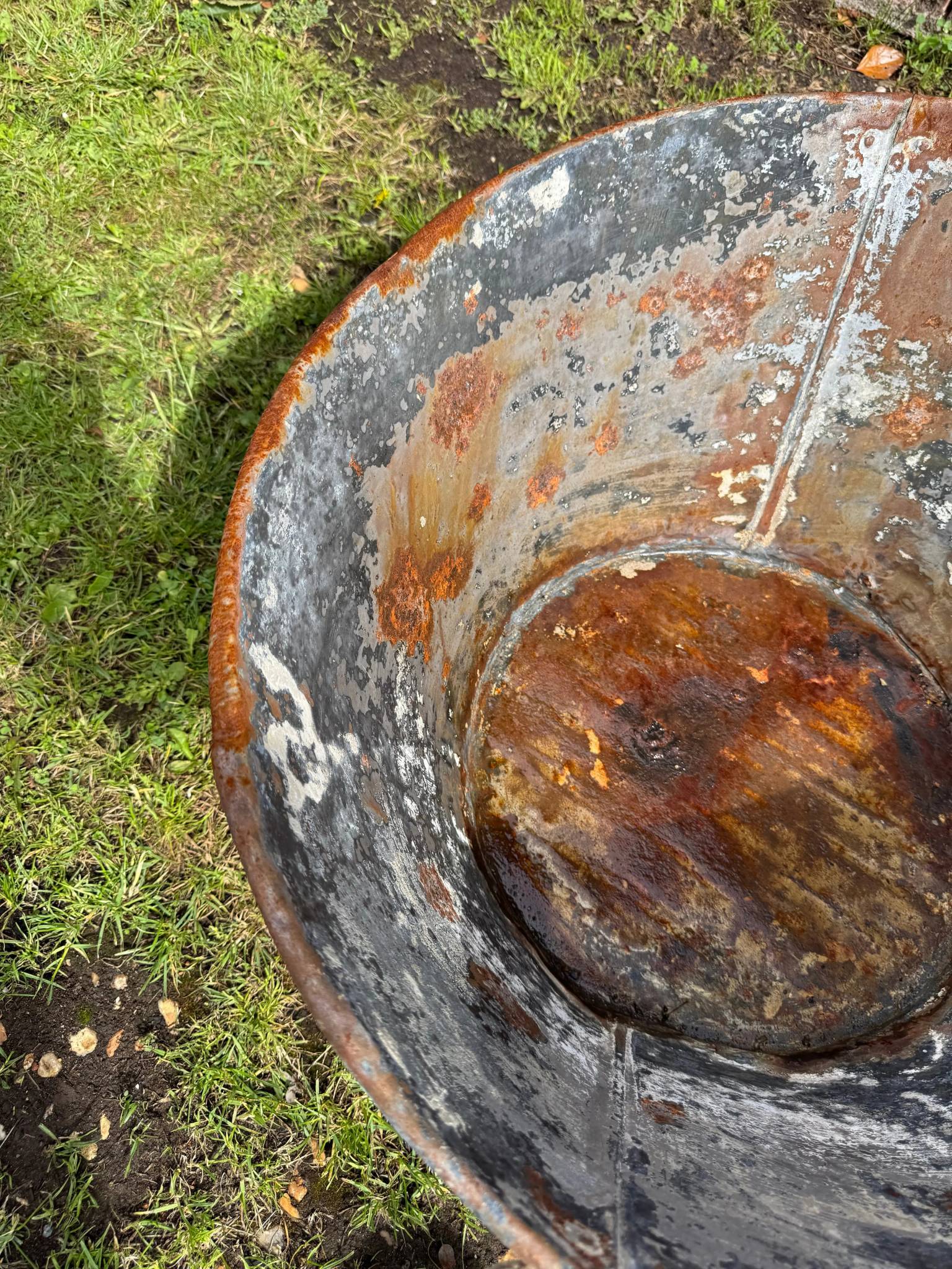 Rusty weathered metal wheelbarrow with peeling black paint and orange rust as vintage galvanised metal bath tub planter