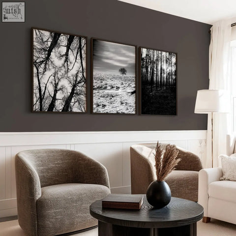 Black matte ceramic vase with dried pampas grass as wall art for grey walls living room decor set of 3 forest photos