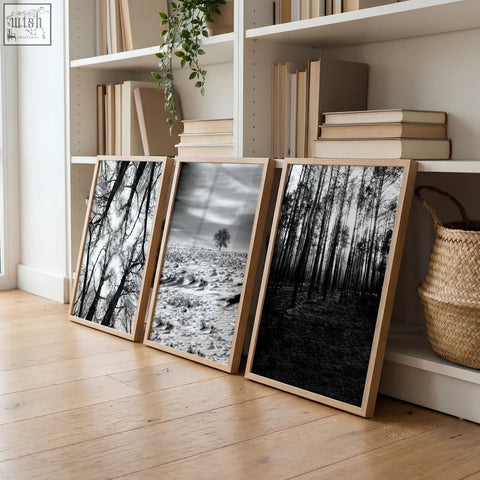 Three framed black and white nature wall art with light wood frames leaning against white bookshelf for grey walls living room