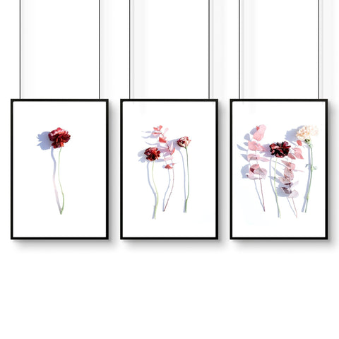 Bathroom wall hanging | set of 3 framed wall art