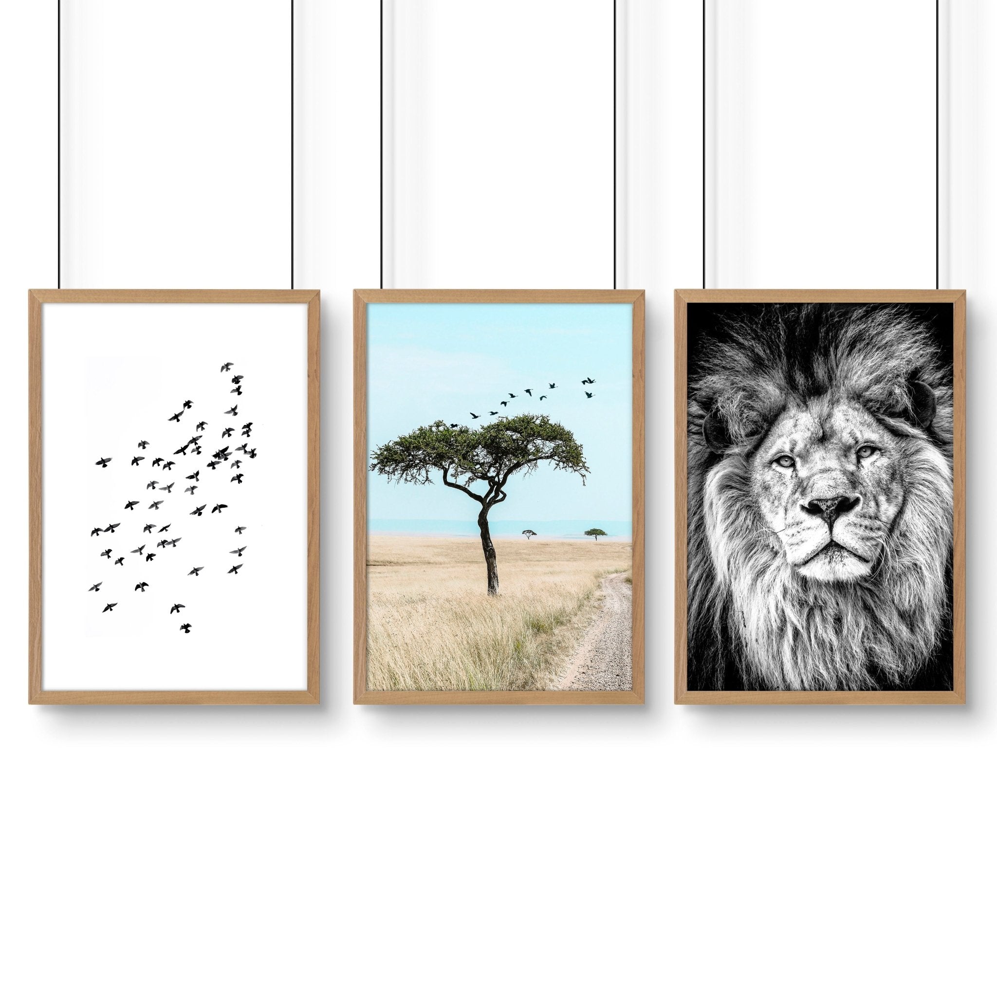 Wall Art Large Prints | Set of 3 African Wildlife Wall art Prints