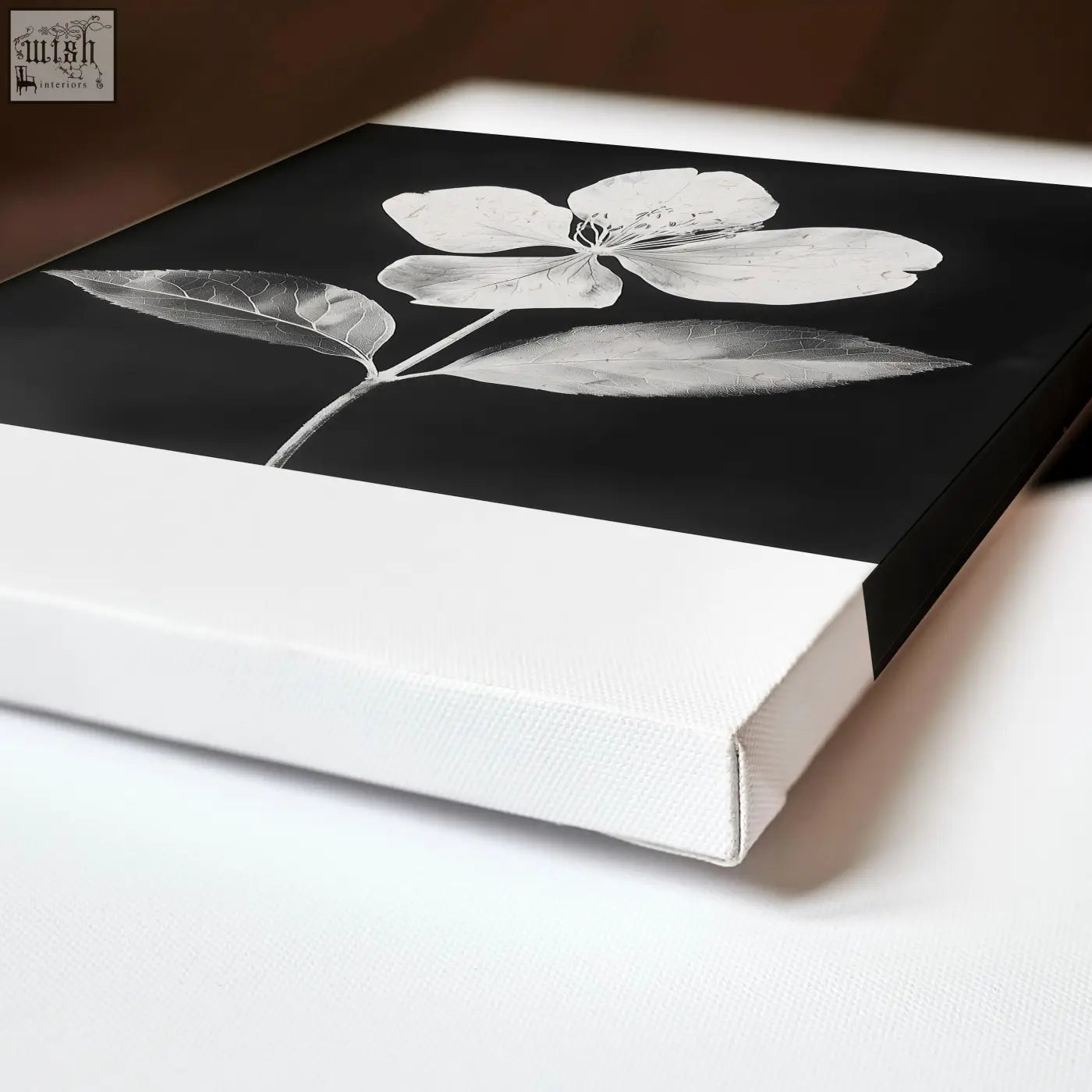 Black canvas wall art nature print with delicate white flower and leaf design framed in white gallery wrap edge
