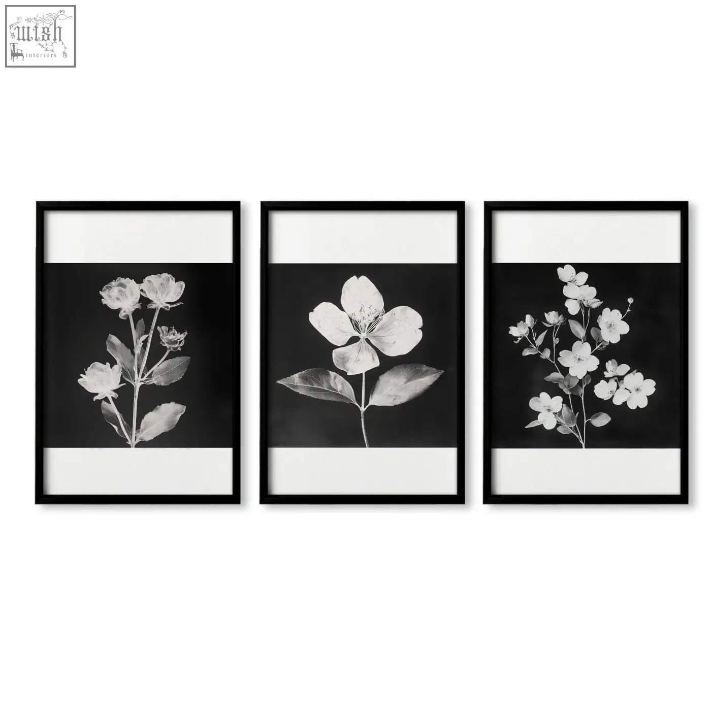 Set of 3 black-framed wall art nature prints with monochrome floral illustrations on dark background with white borders