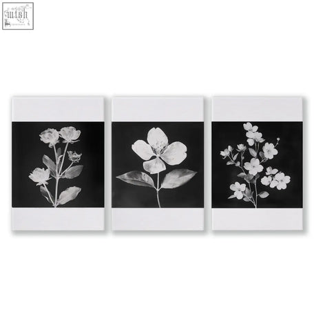Set of three black-and-white wall art nature charcoal botanical floral prints with delicate blossoms and white borders