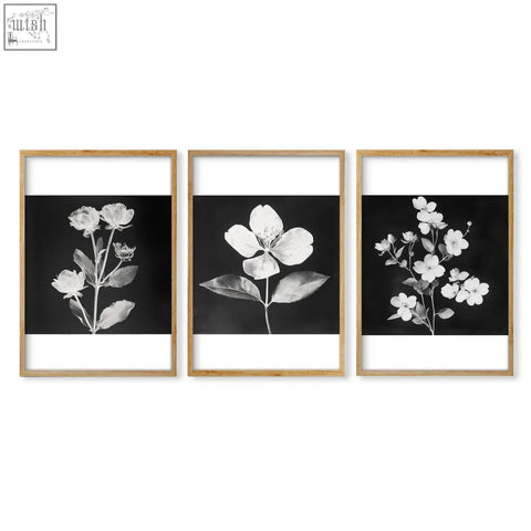 Set of 3 framed black and white charcoal botanical wall art nature prints with light wood frames for home decor
