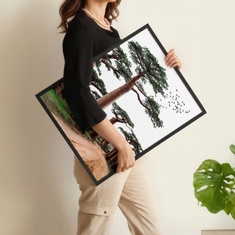 Wall Art Pictures Framed | Set of 3 African Wildlife Wall art Prints