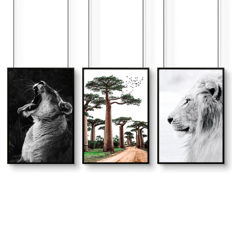 Wall Art Pictures Framed | Set of 3 African Wildlife Wall art Prints