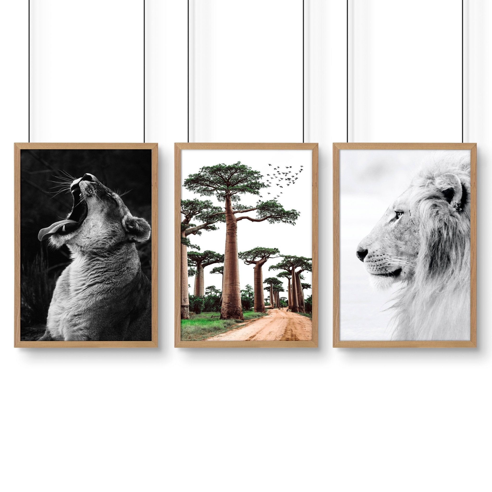 Wall Art Pictures Framed | Set of 3 African Wildlife Wall art Prints