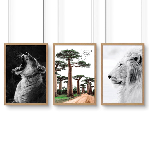 Wall Art Pictures Framed | Set of 3 African Wildlife Wall art Prints