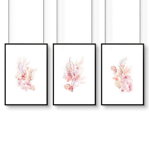 Wall Art Sea | Set of 3 Seashells Wall art Prints