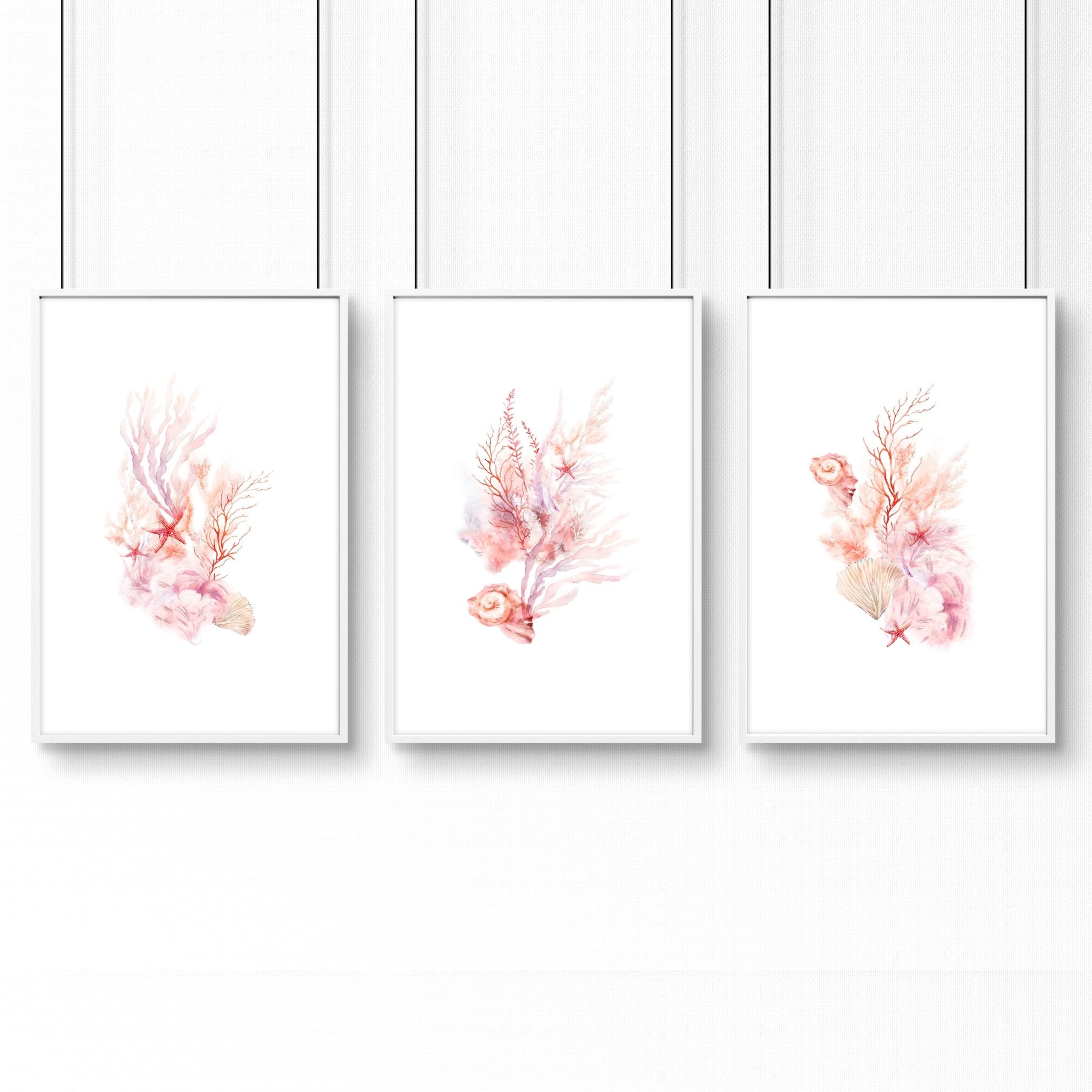 Wall Art Sea | Set of 3 Seashells Wall art Prints