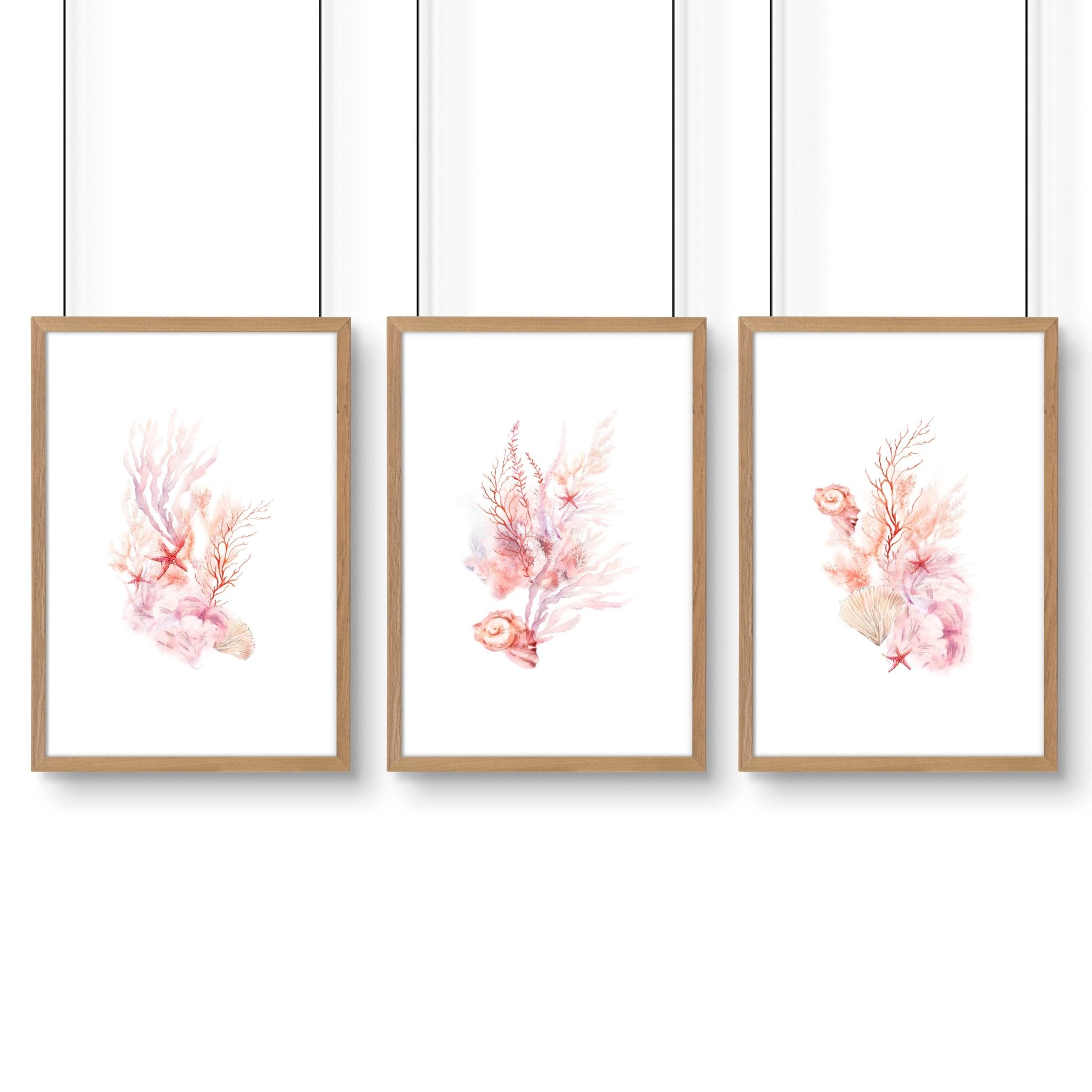 Wall Art Sea | Set of 3 Seashells Wall art Prints