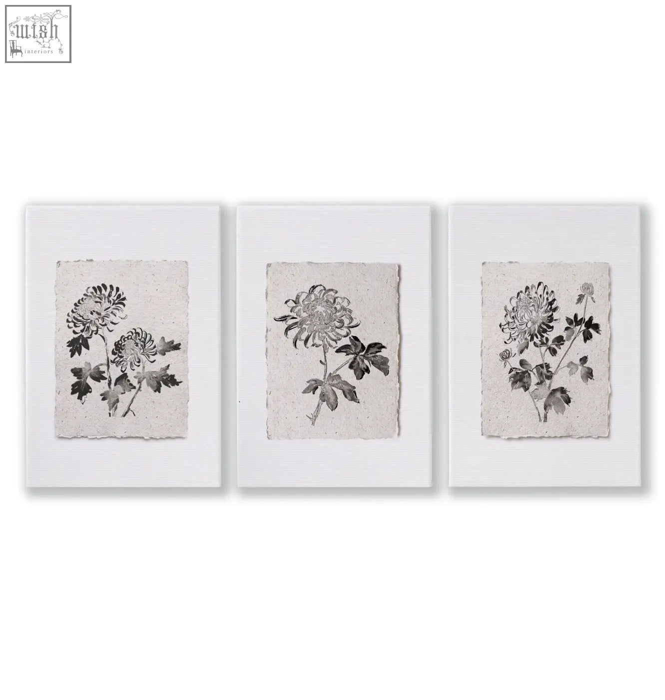 Set of three framed wall decor grey botanical chrysanthemum ink prints on textured off-white paper for french country style