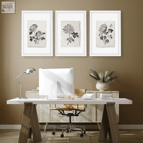 Three framed botanical prints with grey chrysanthemum ink illustrations on off-white paper in white frames wall decor grey