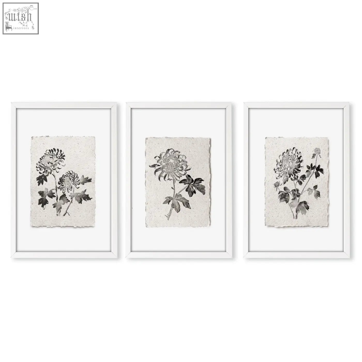 Set of three framed chrysanthemum botanical prints on off-white paper with minimalist white frames for wall decor grey