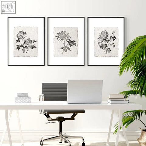 Three black-framed wall decor grey prints with monochrome chrysanthemum illustrations on textured off-white paper above desk