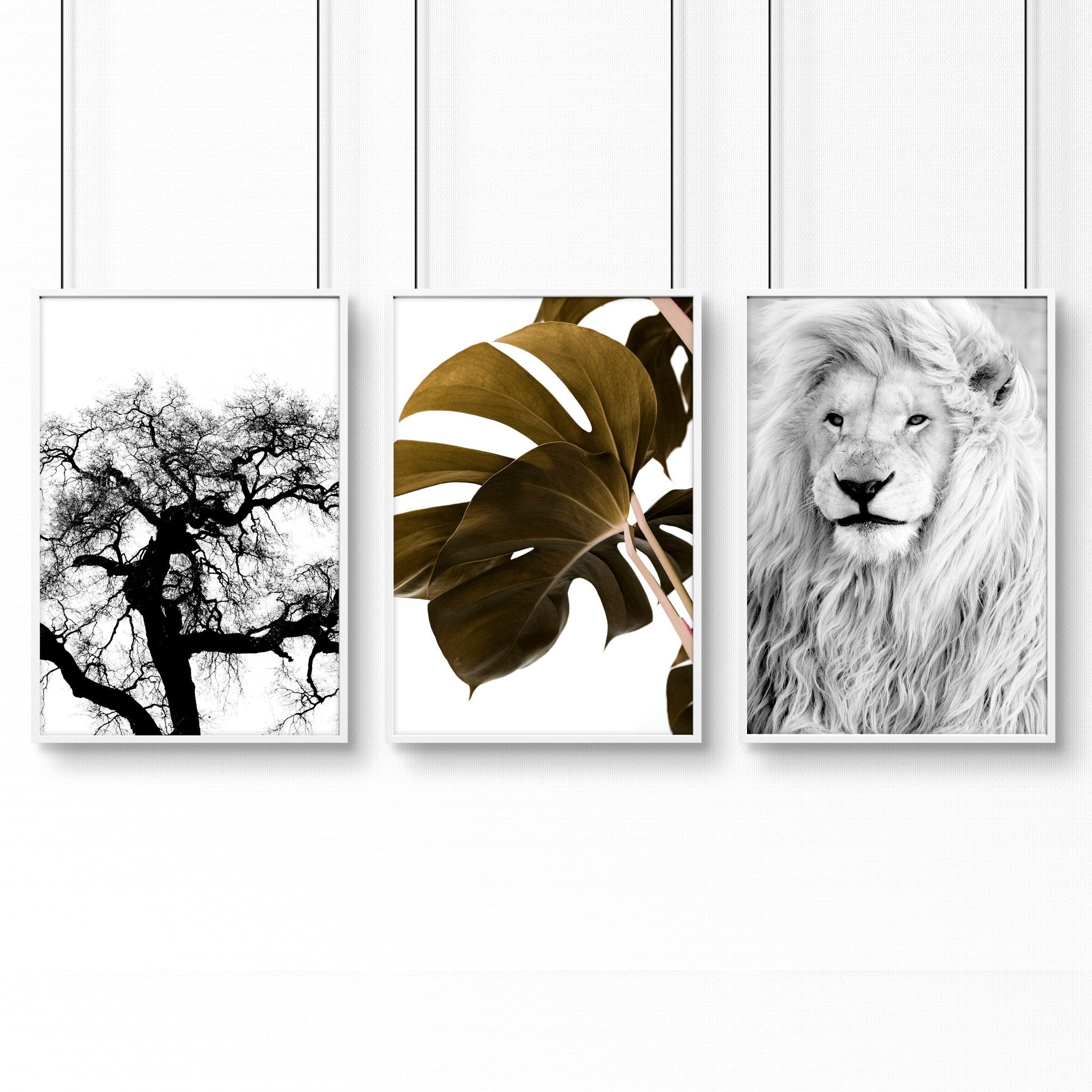 Wall Hanging Art | Set of 3 African Wildlife Wall art Prints