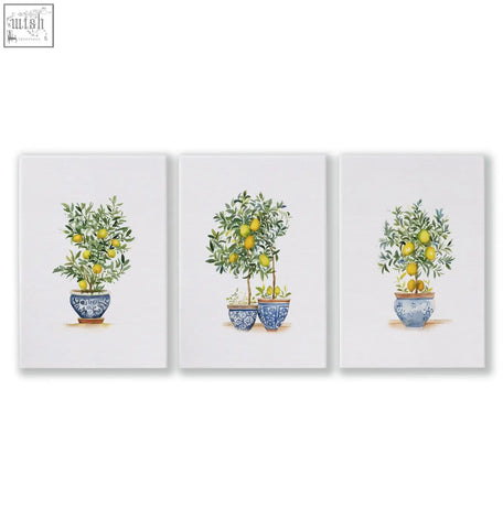 Set of three framed canvas art prints with lemon tree illustrations in blue and white pots perfect for living room decor
