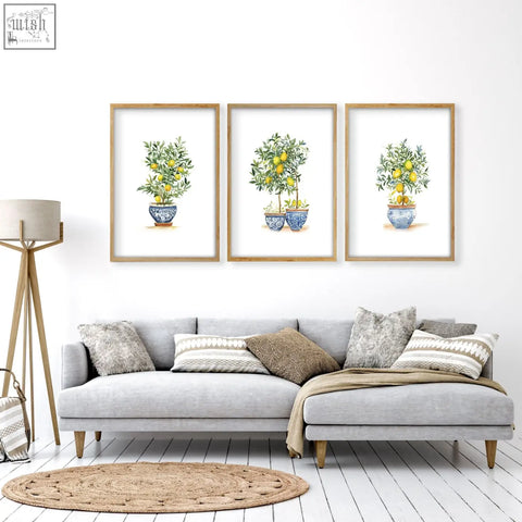 Three framed living room lemon tree art prints in blue and white ceramic pots with light wood frames