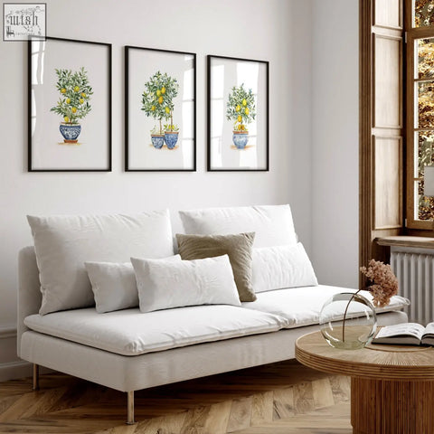 Three framed art prints of lemon tree potted in blue and white ceramic pots perfect for living room wall hanging