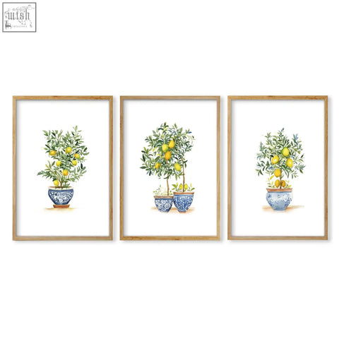 Set of 3 living room art prints featuring lemon tree watercolor designs in blue and white ceramic pots
