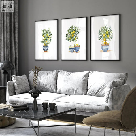 Three framed lemon tree art prints in blue and white pots hung above a gray velvet sofa in a living room setting