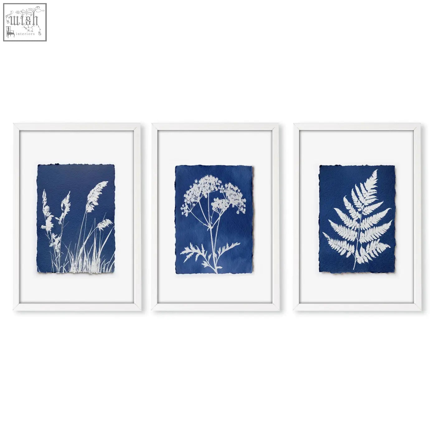 Set of three framed cyanotype botanical wall paintings with white plant silhouettes on deep indigo blue paper perfect for country cottage decor