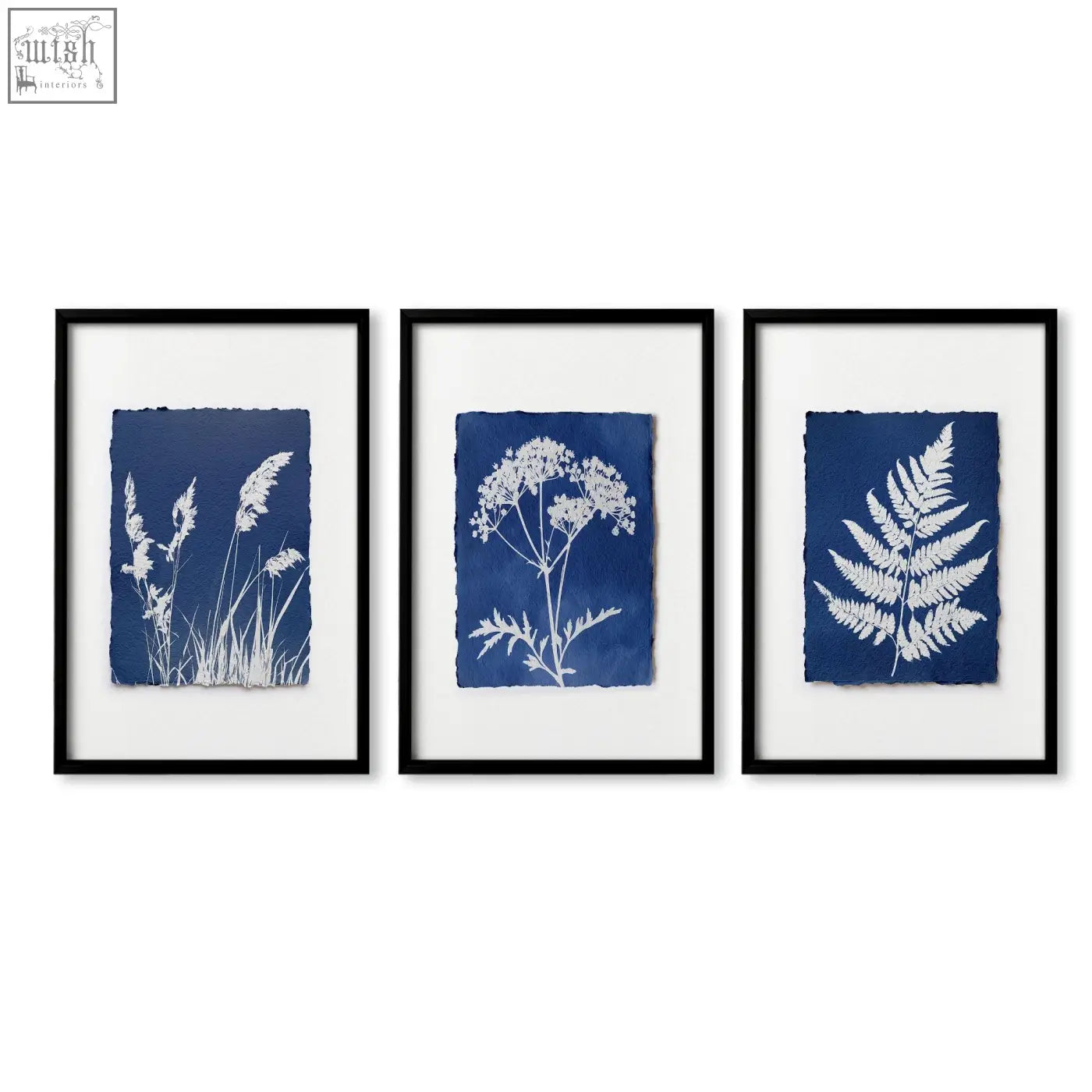 Set of three framed wall paintings featuring blue indigo cyanotype botanical prints on textured paper for country cottage kitchens