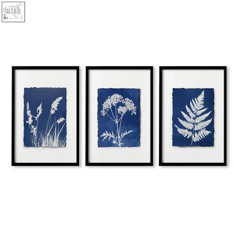 Set of three framed wall paintings featuring blue indigo cyanotype botanical prints on textured paper for country cottage kitchens