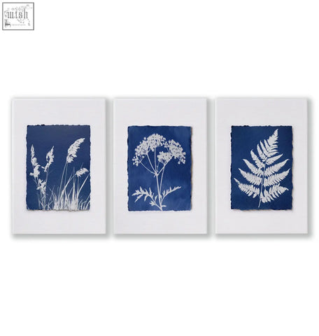 Set of three framed cyanotype botanical wall paintings with white plant silhouettes on indigo blue paper for country cottage