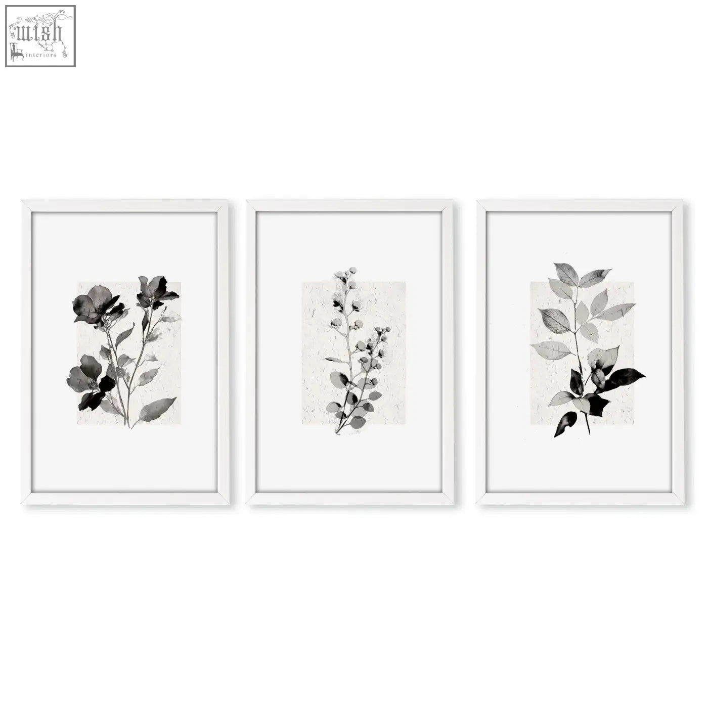 Set of 3 french country wall pictures with minimalist botanical art prints in white frames on textured ivory paper