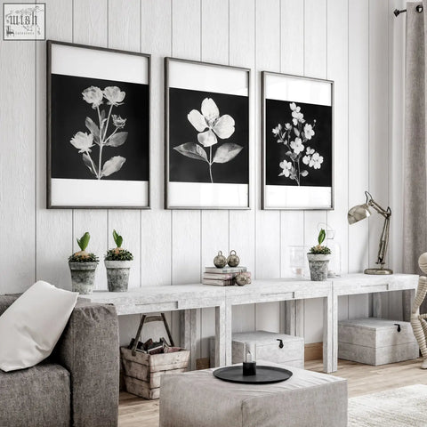 Three framed black and white botanical prints with thin metallic frames hanging on a white wooden wall for living room french country decor