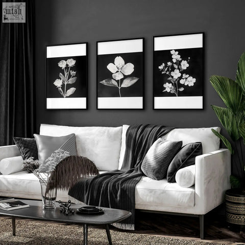 Three black-and-white floral wall prints with white borders in sleek black frames perfect for living room french country decor